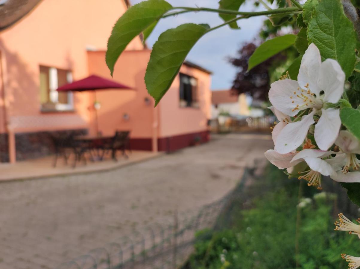 Ferienwohnung Storchennest Mit Eigenem Hof, Spielwiese Und Terrasse Nauen Exterior foto