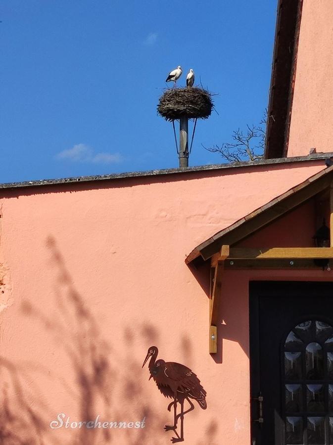 Ferienwohnung Storchennest Mit Eigenem Hof, Spielwiese Und Terrasse Nauen Exterior foto